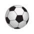 山西龙盛